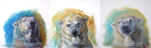 Christine Montague Fine art oil paintgs of polar bears