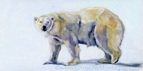 Christine Montague original oil paintings of polar bears